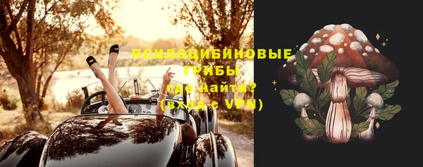 таблы Белокуриха