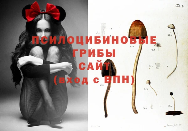 амфетамин Богородск