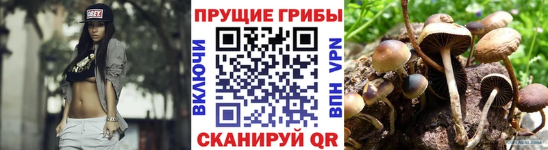 как найти   Вуктыл  Галлюциногенные грибы прущие грибы 
